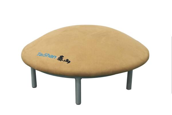 全旋训练器 (A)(图1)