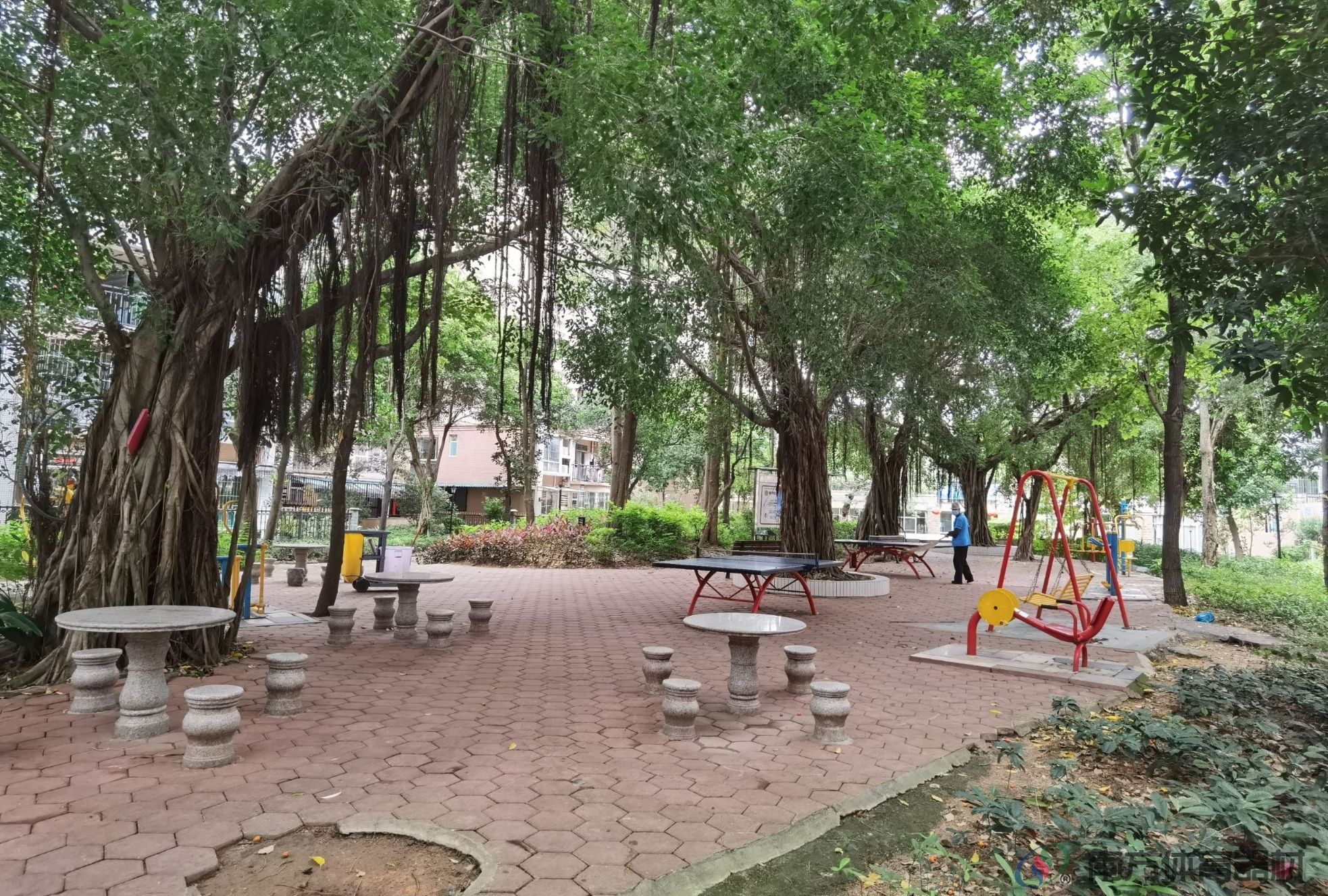 婆石社区北欧森林(图2)