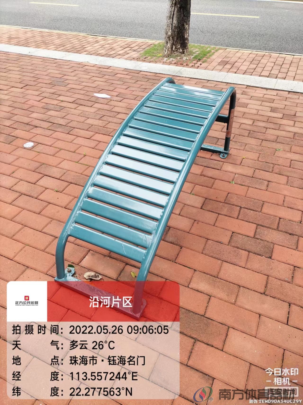 凤凰河社区公园银桦段(图26)