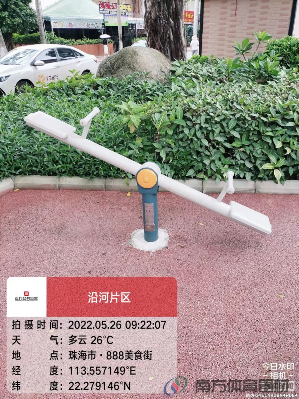 凤凰河社区公园银桦段(图33)